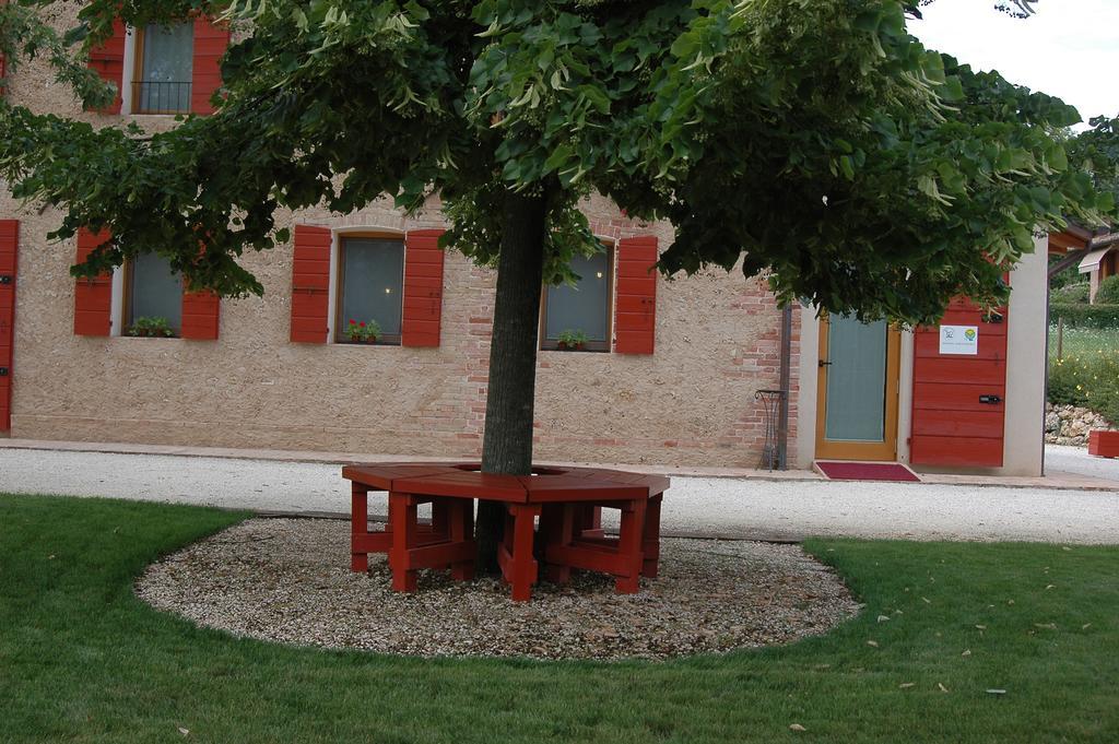 Agriturismo La Paterna Giavera del Montello Ngoại thất bức ảnh